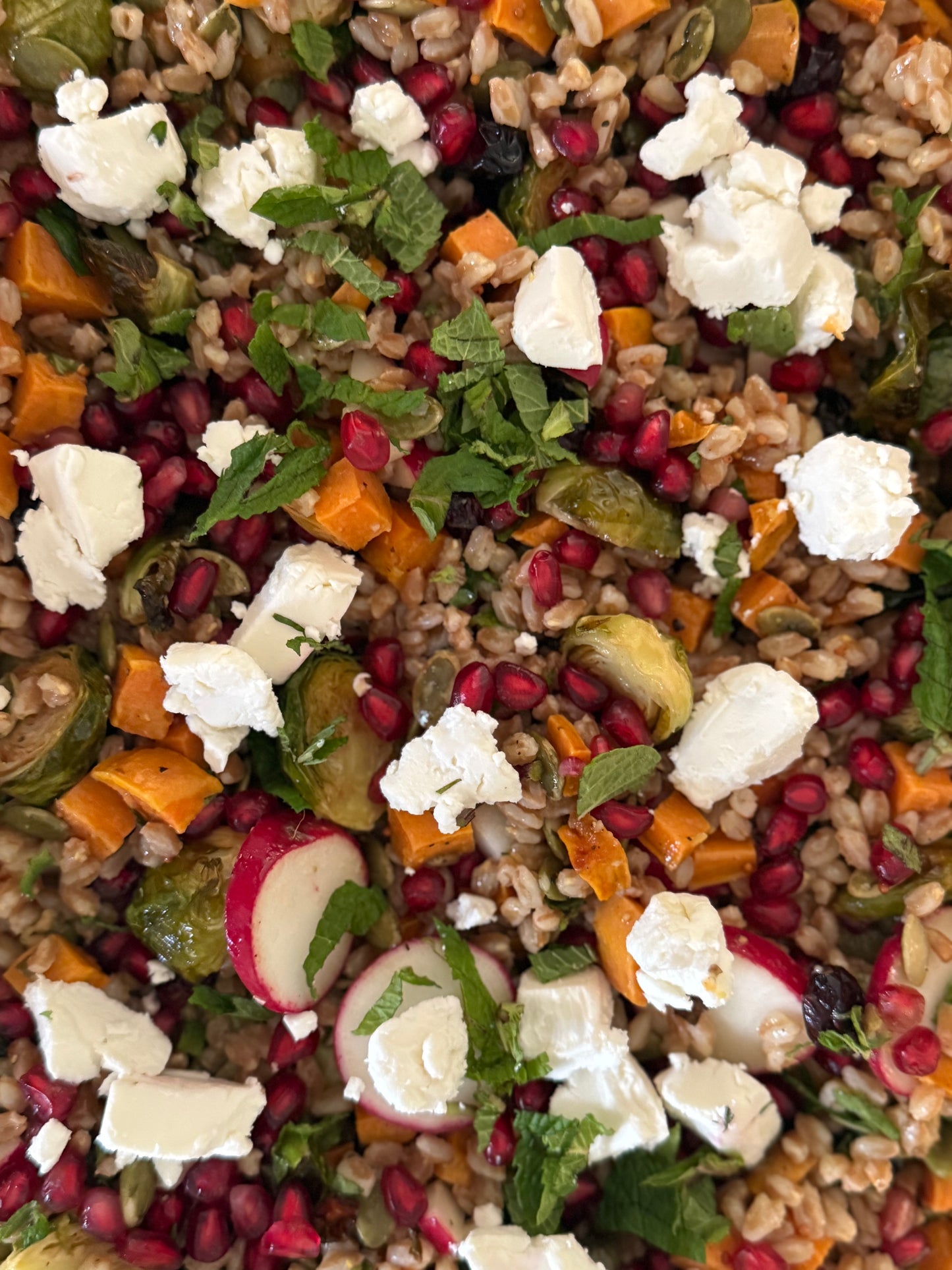 Farro & Brussels Sprout Confetti Salad