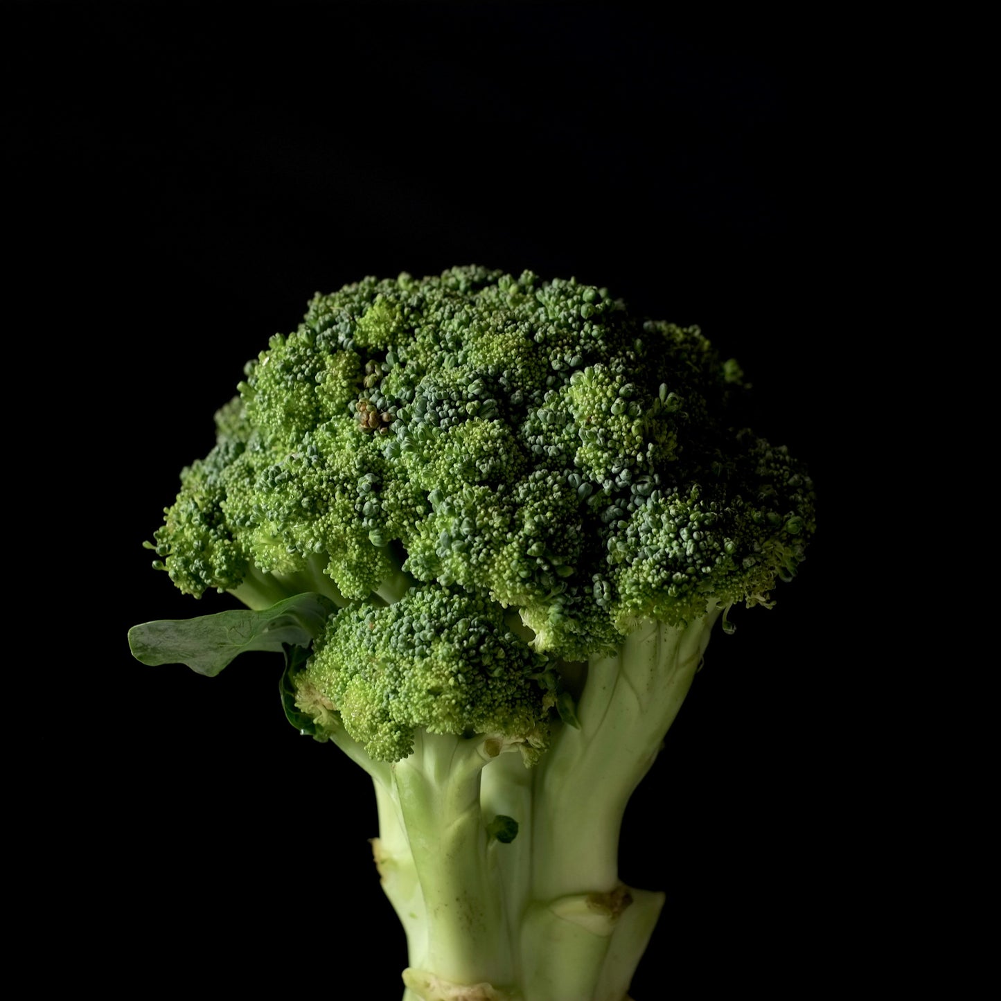 Cruciferious Salad With Horseradish Dressing